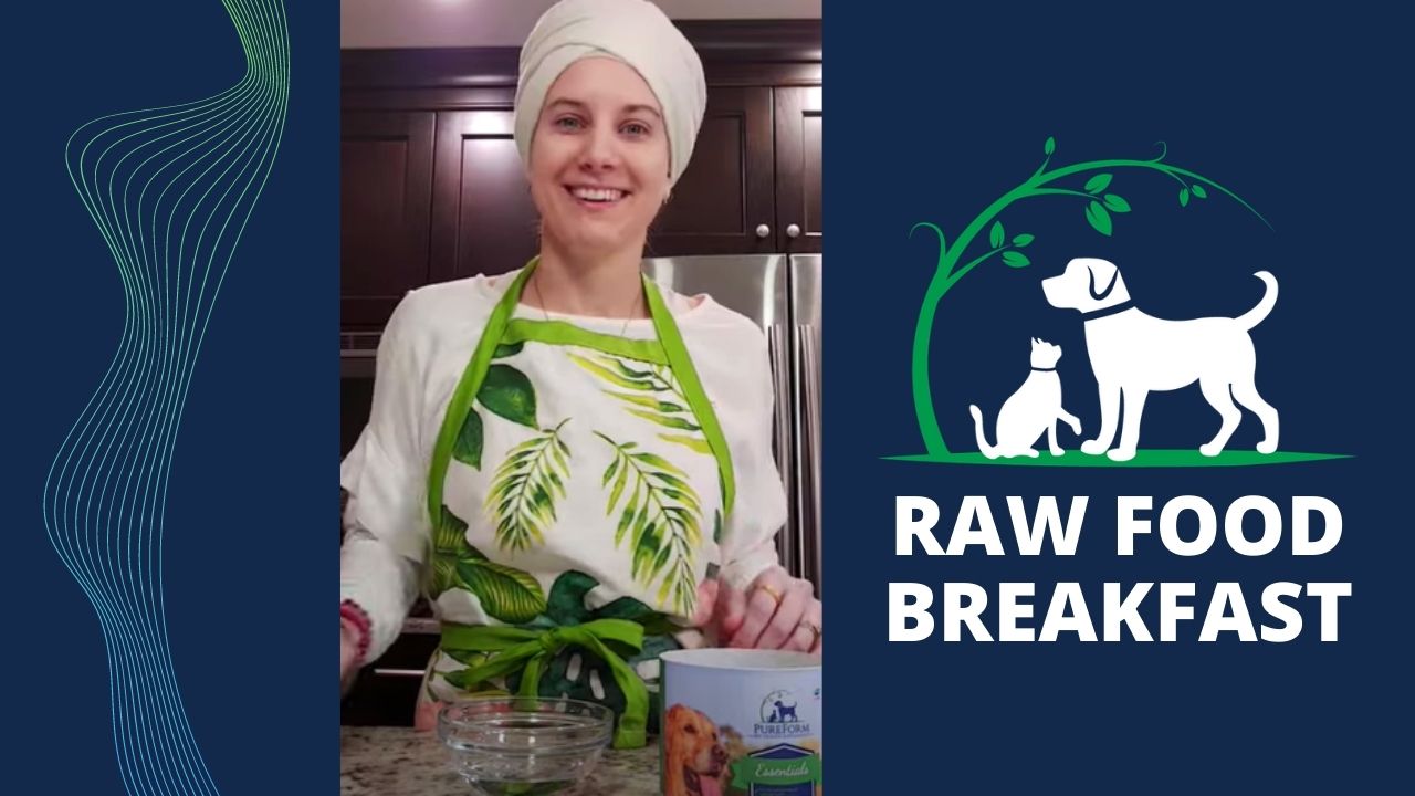 Raw Feeding: Breakfast Routine for Cats & Dogs