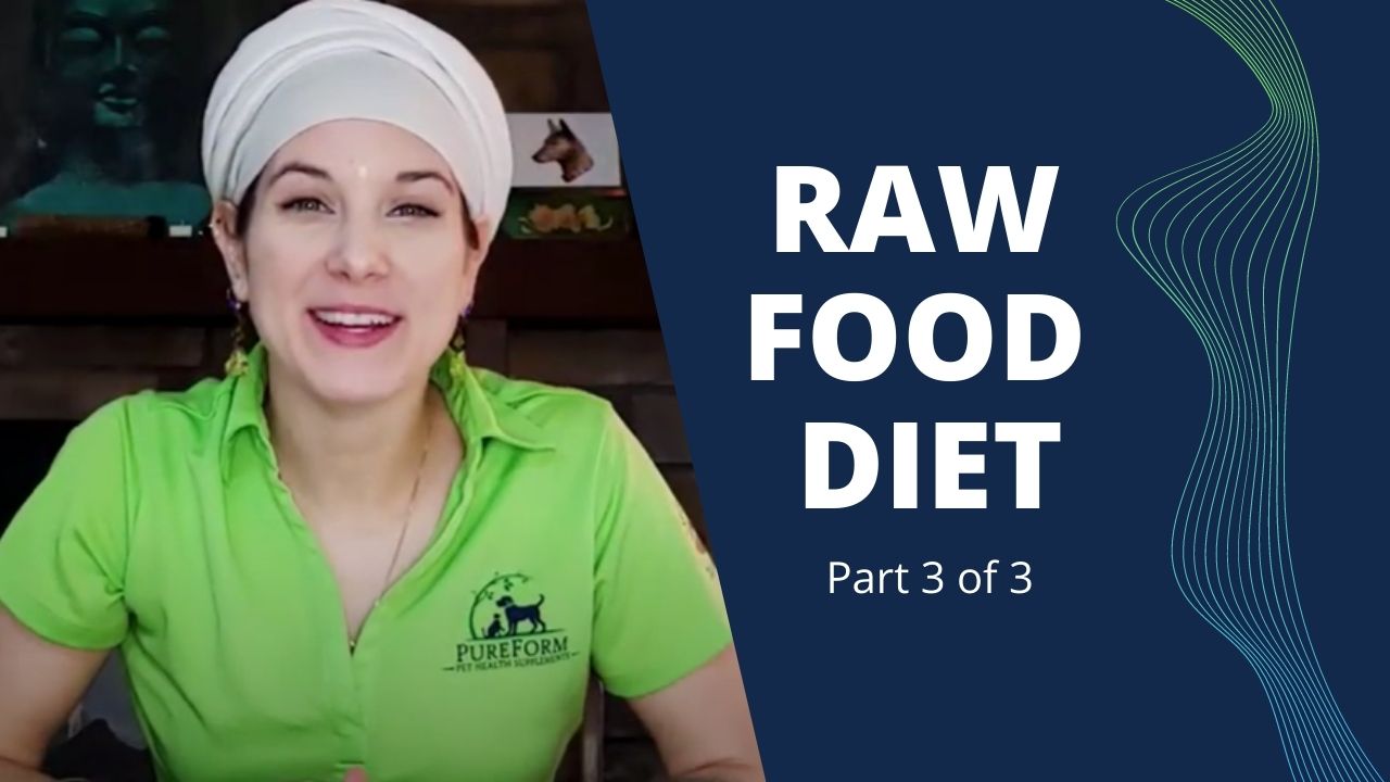 How to Make Your Own Raw Pet Food (Part 3 / 3)