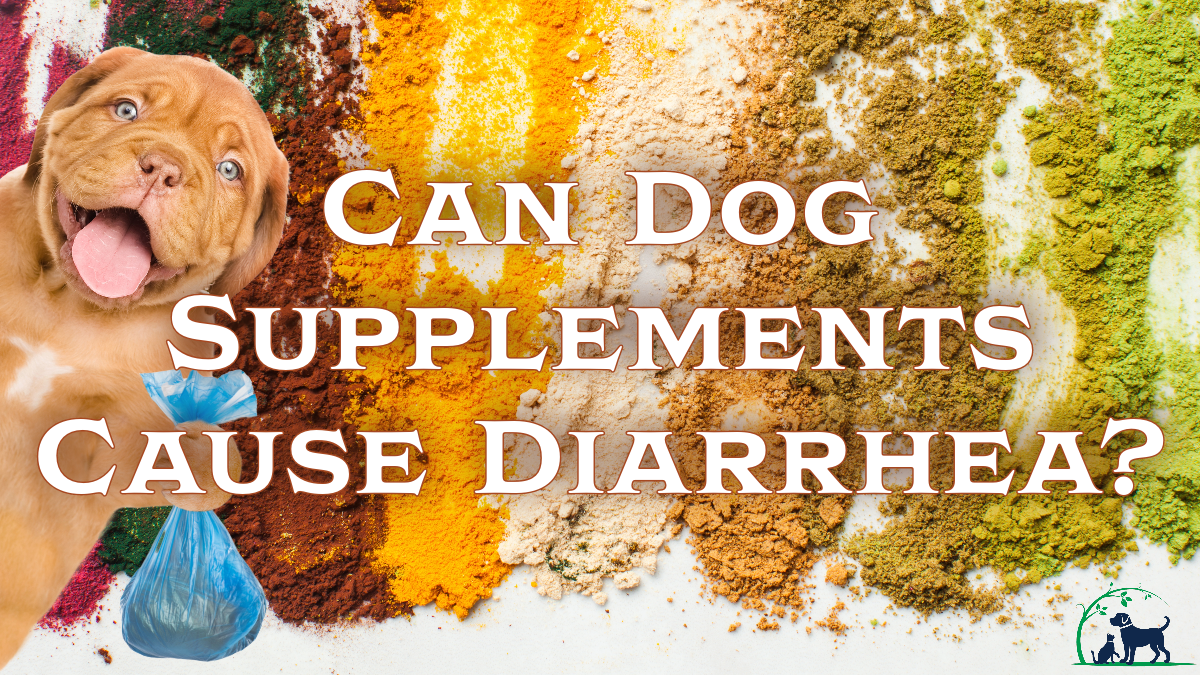 Unleashing the Truth Can Dog Supplements Cause Diarrhea?
