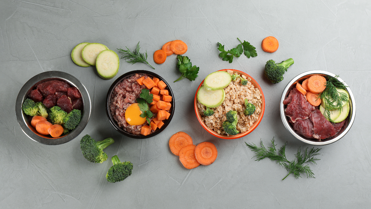 Raw vs. Cooked Dog Food How to Make the Best Choice for Your Companio