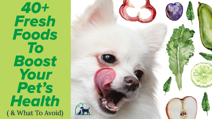 40+ Fresh Foods to Boost Your Pet's Health; Everything You Need To Know