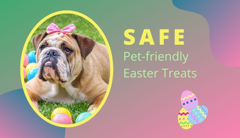3 Pet-friendly Easter Treat Recipes + 5 Dangerous Foods to Avoid