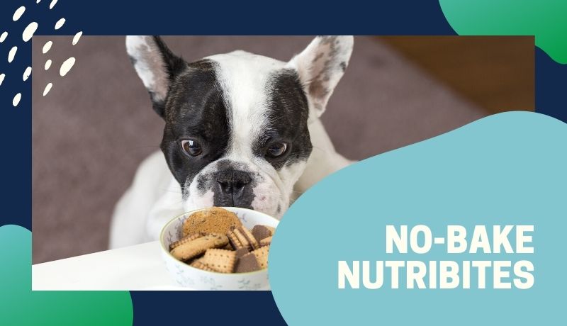 No-bake Nutribites for you and your dog