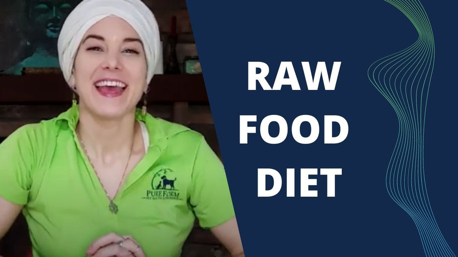 Why You Should Feed Your Pet a Raw Diet (Part 1 / 3)