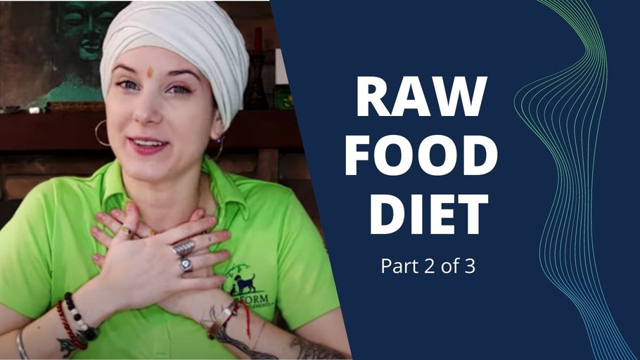 How to Switch Your Pet to a Raw Diet (Part 2 / 3)